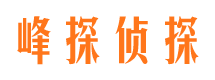 沐川市调查公司